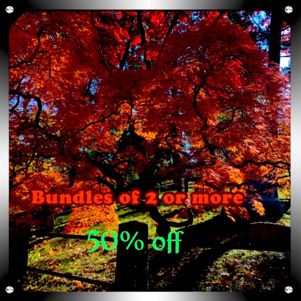 50% off Bundles